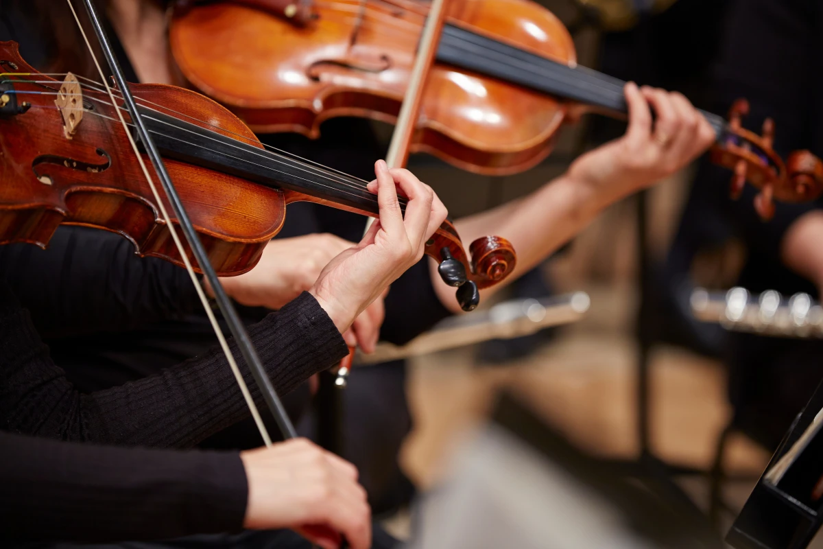Ensemble von Musikern mit Violen, Violinen und Celli. Hände spielen live ein Saiteninstrumenten-Konzert.